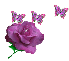 5332544.gif